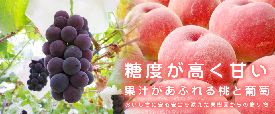 トップページ